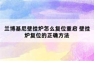 兰博基尼壁挂炉怎么复位重启 壁挂炉复位的正确方法